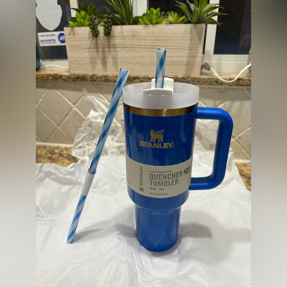 Stanley Arctic twist 40oz Tumblr
